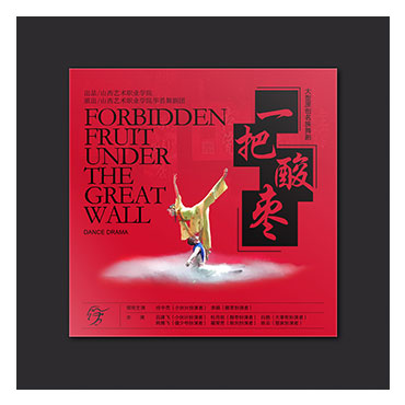 一把酸棗CD光盤套